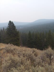 Pioneer Mountains
