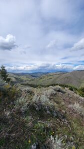 Highwood Mountains