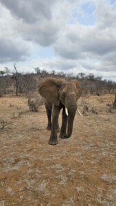 Kruger National Park