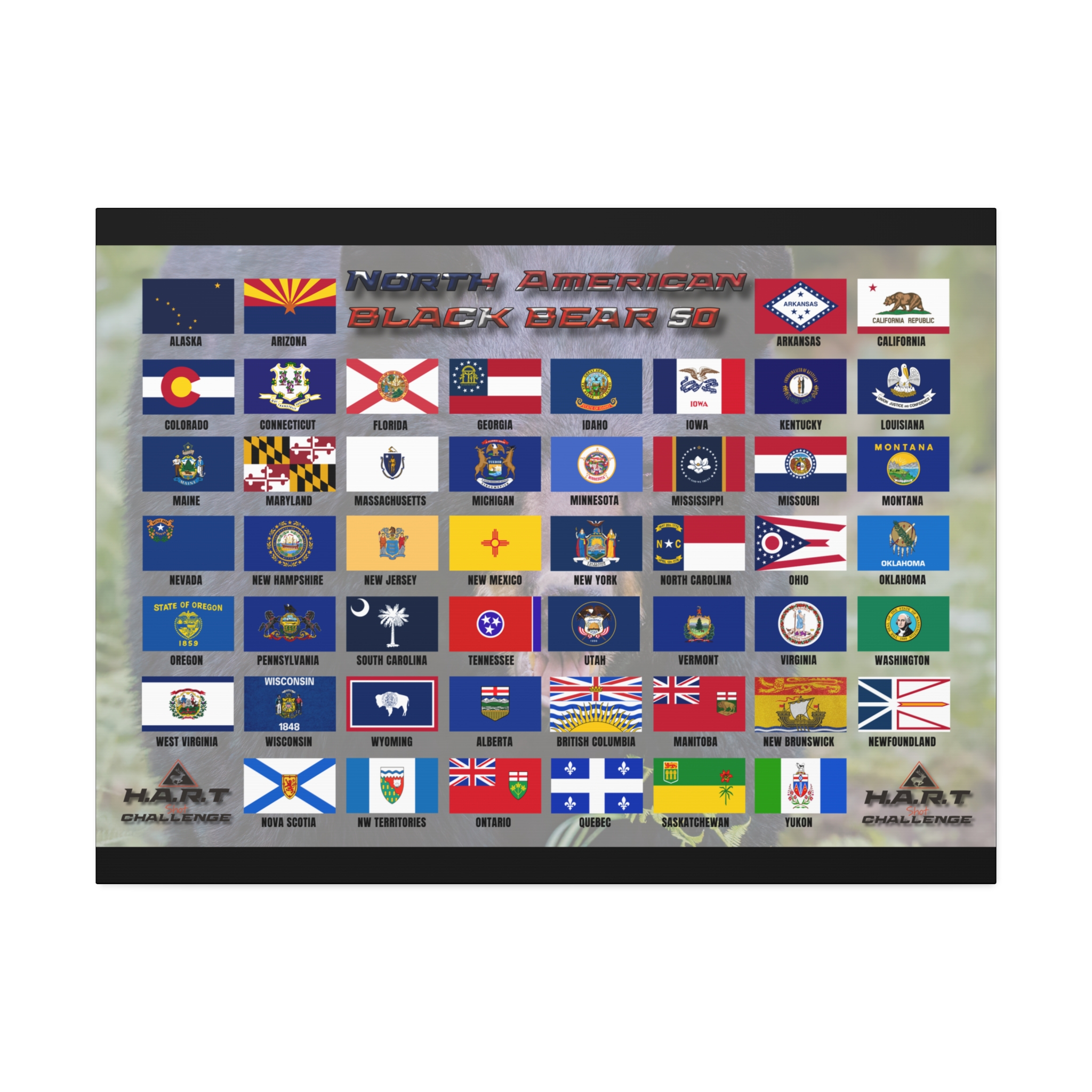 North American Black Bear 50 H.A.R.T Challenge Shot Board - Image 9