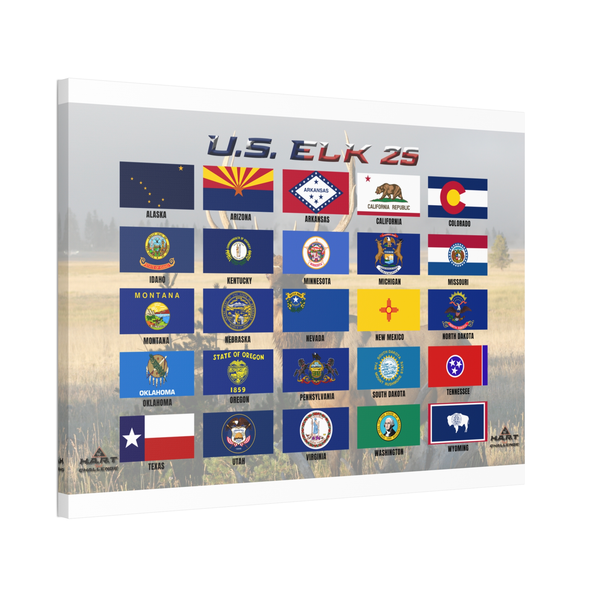 U.S. Elk 25 H.A.R.T Challenge Shot Board - Image 5