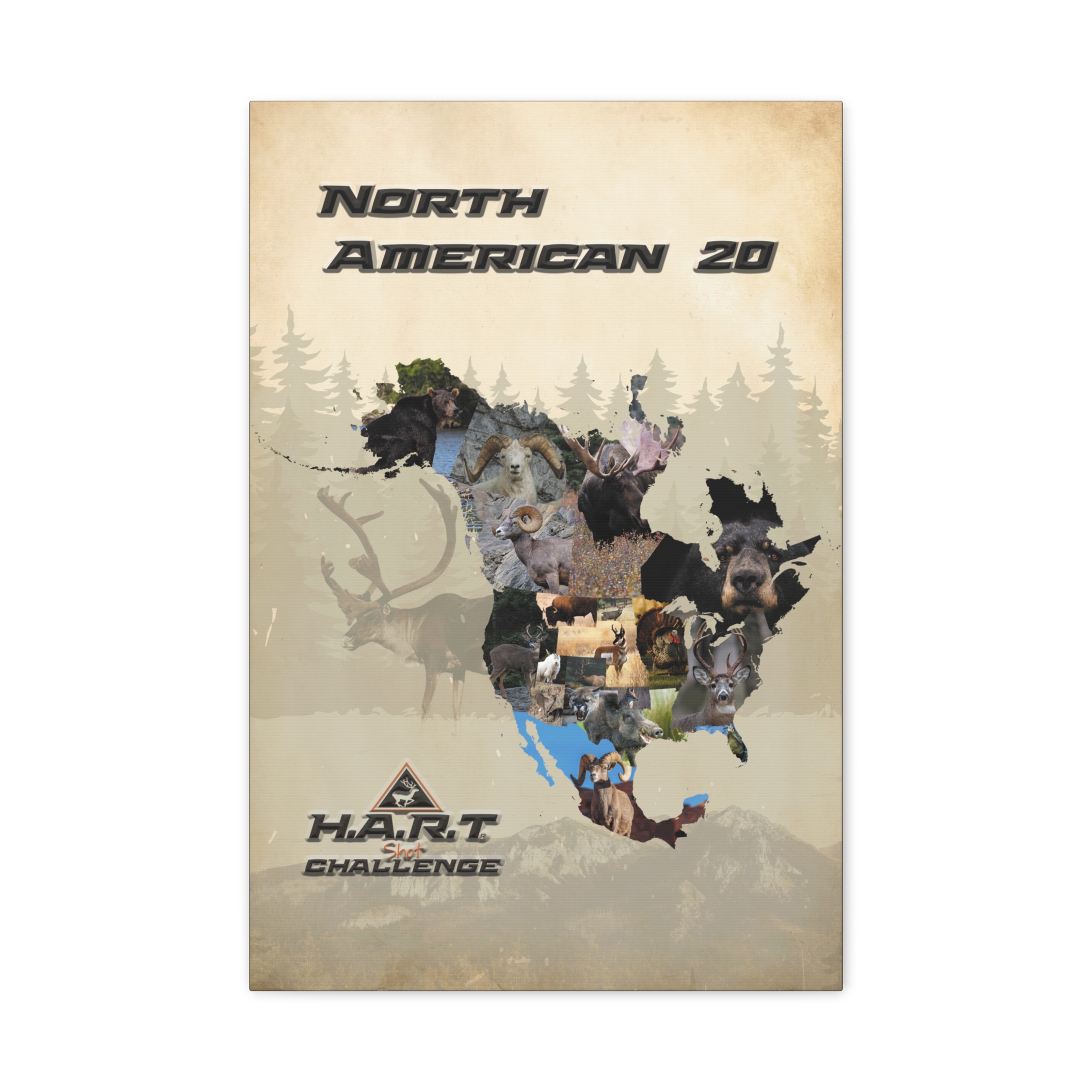 North American 20 H.A.R.T Challenge Shot Board