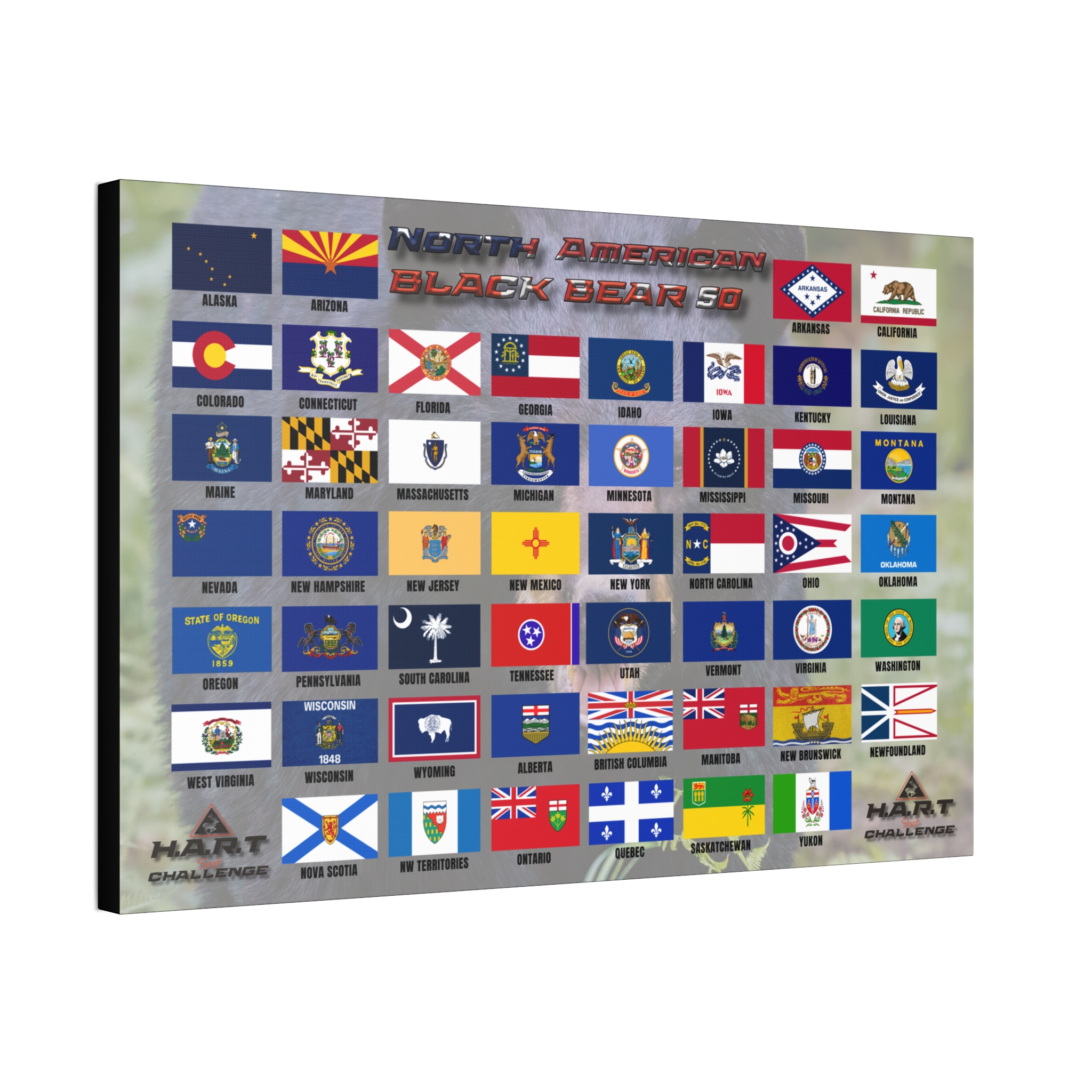 North American Black Bear 50 H.A.R.T Challenge Shot Board - Image 6