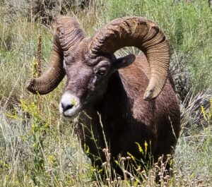 Rio Grande del Norte National Monument
