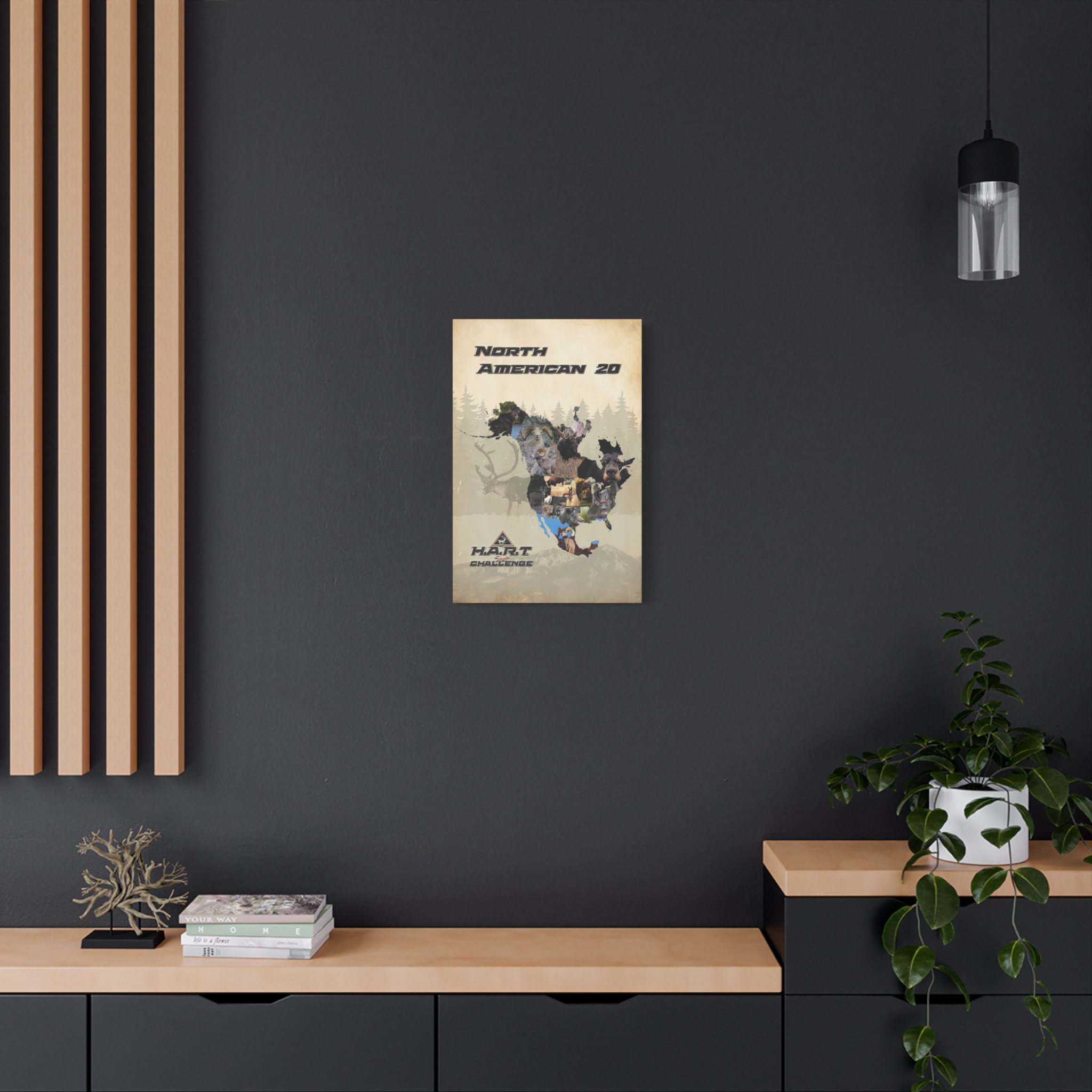 North American 20 H.A.R.T Challenge Shot Board - Image 4