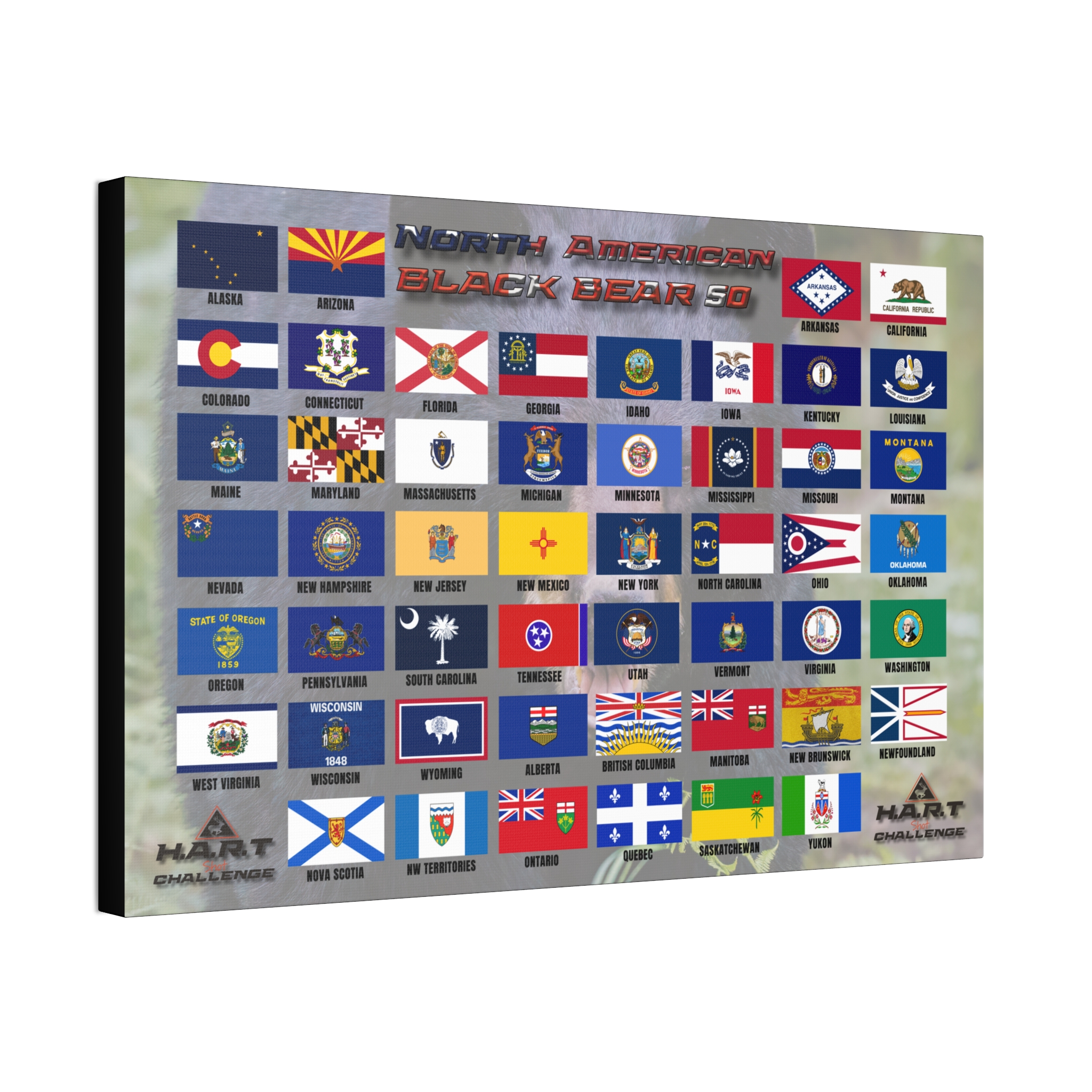 North American Black Bear 50 H.A.R.T Challenge Shot Board - Image 2