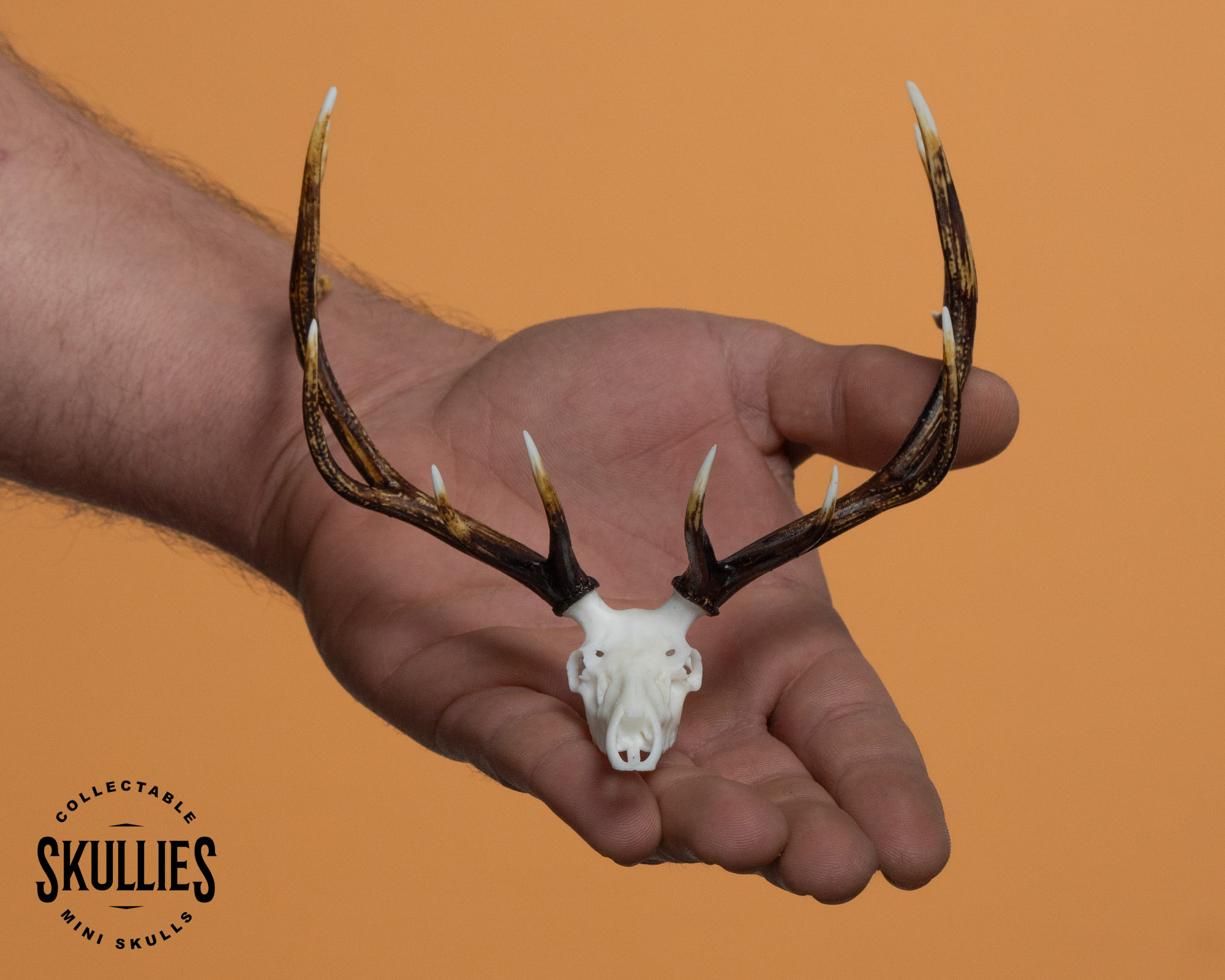 Elk Skullie - Image 3