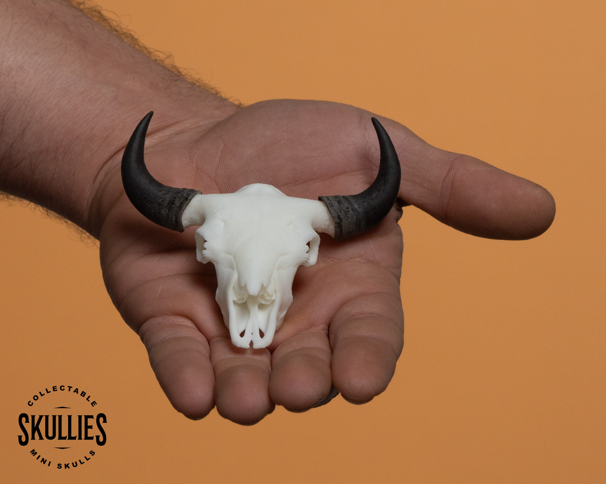 American Bison (Buffalo) Skullie - Image 3