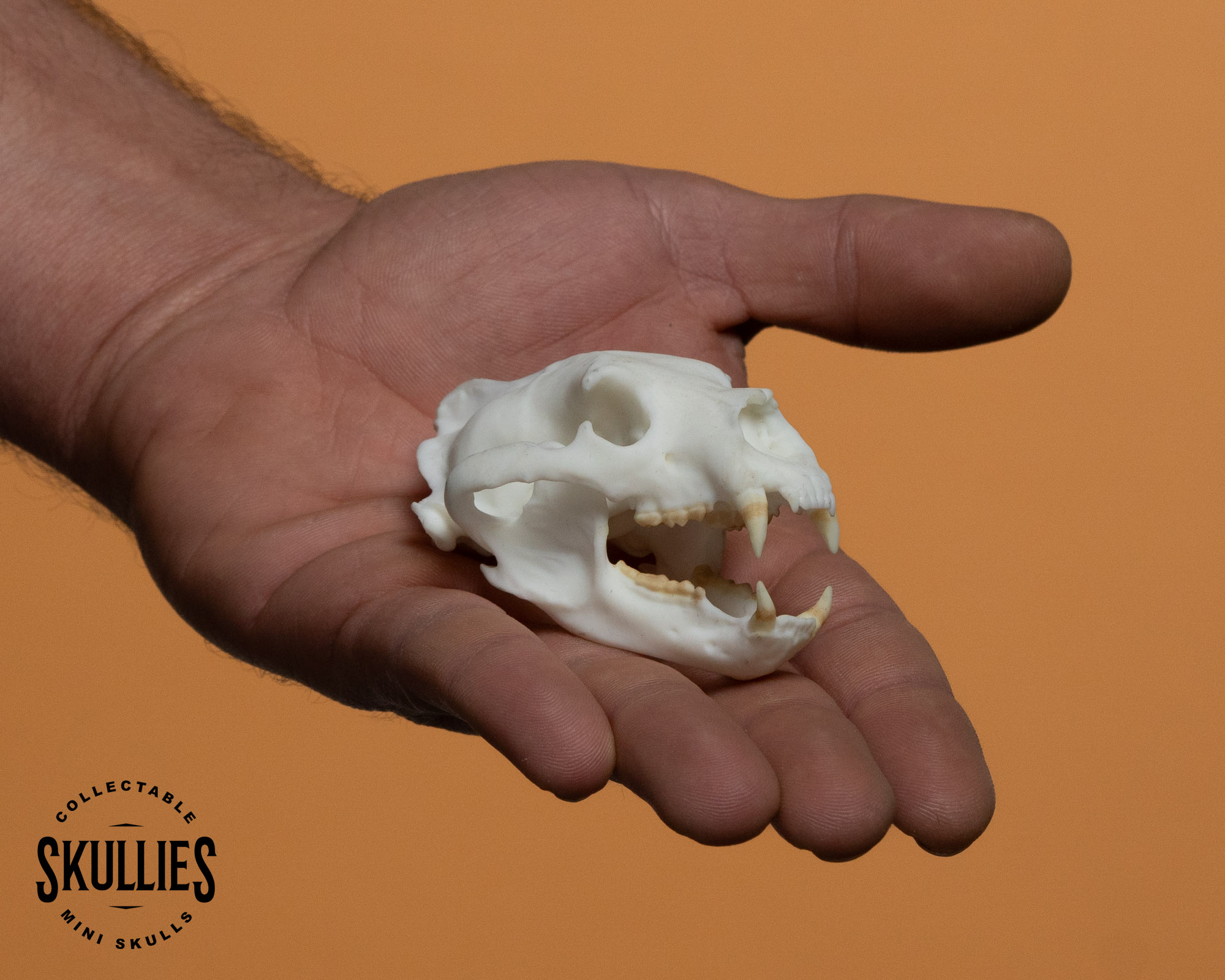 Black Bear Skullie - Image 3