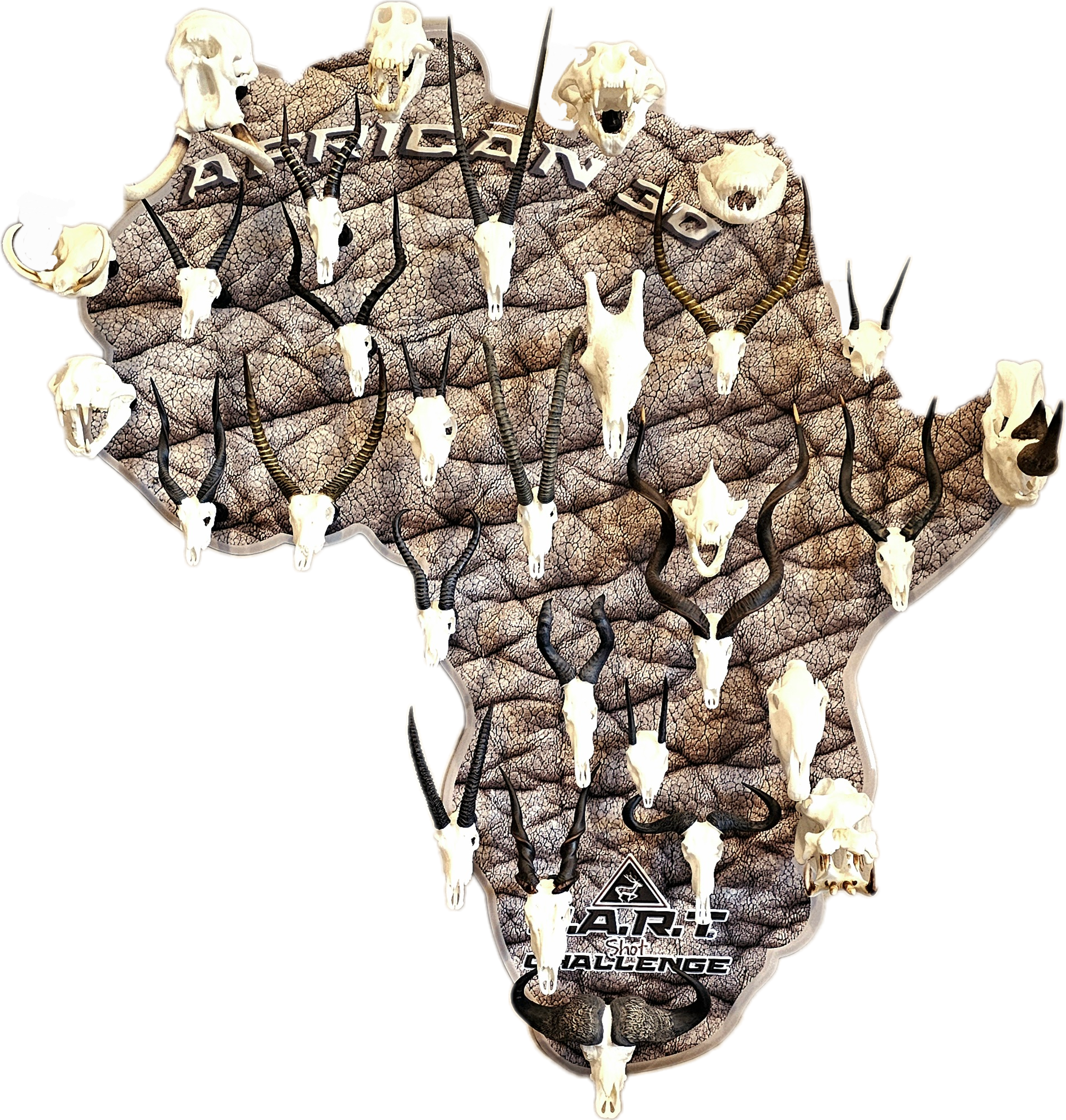 African 30 H.A.R.T Challenge Shot Board (Tin) - Image 2