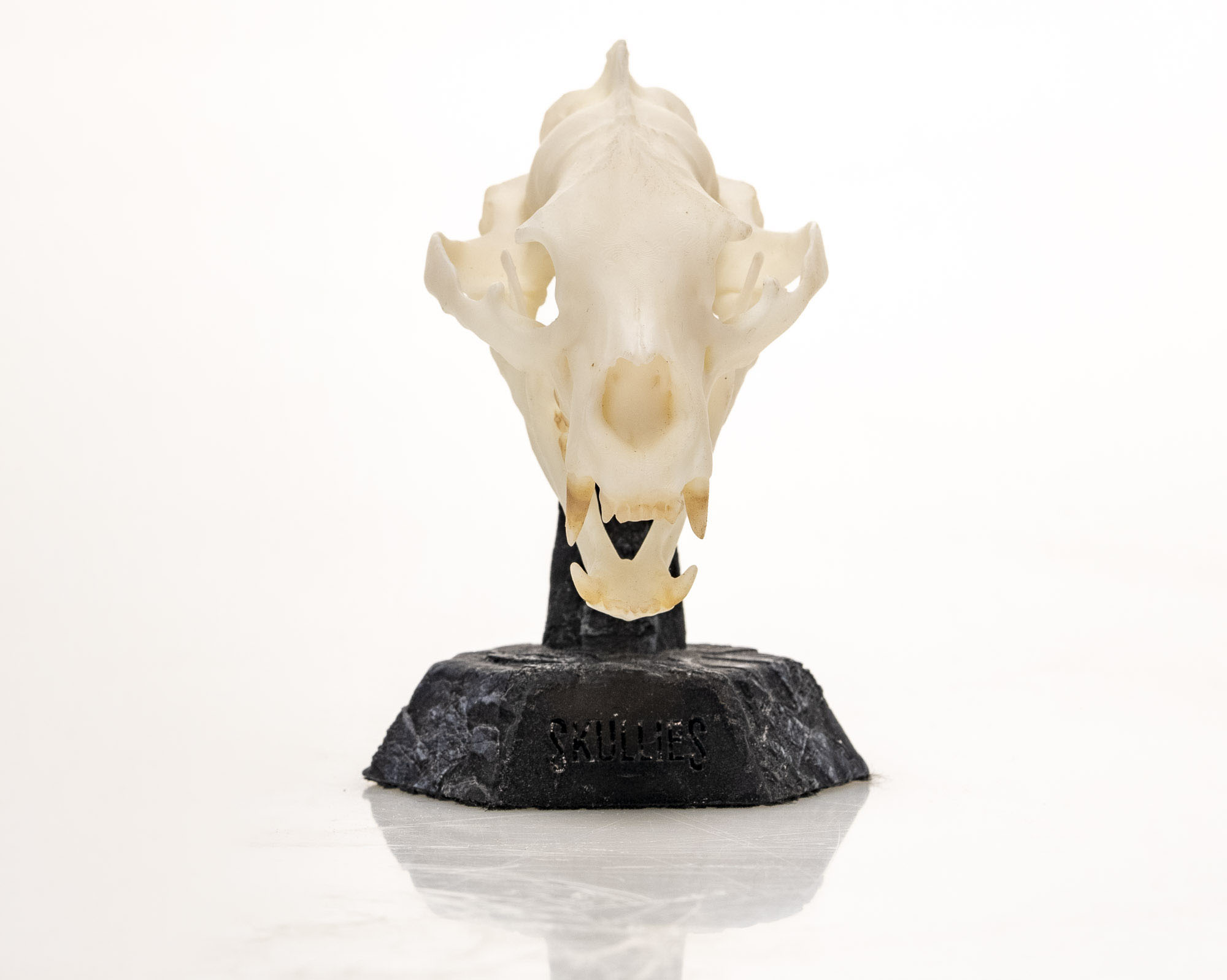 Black Bear Skullie - Image 2