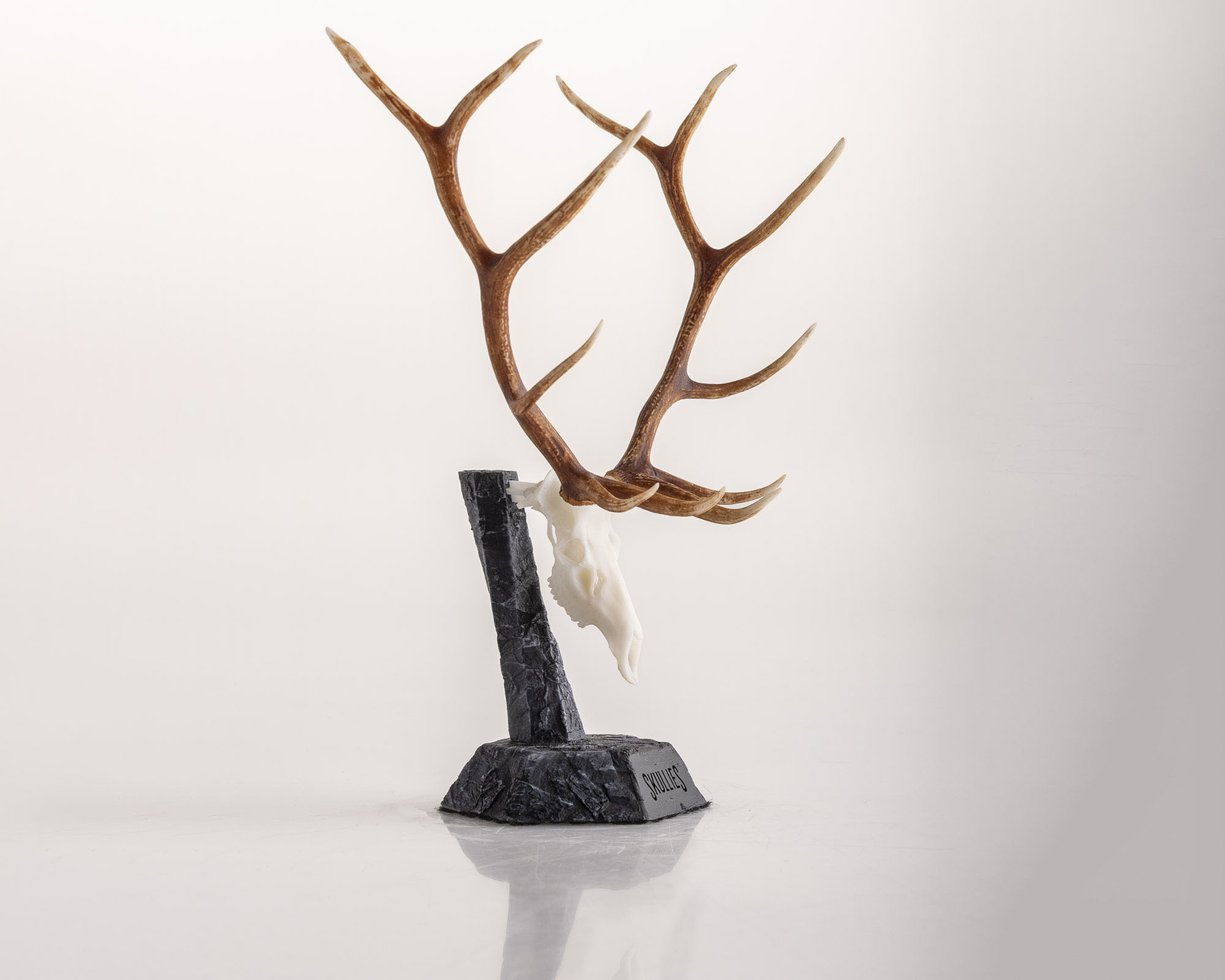 Elk Skullie - Image 2