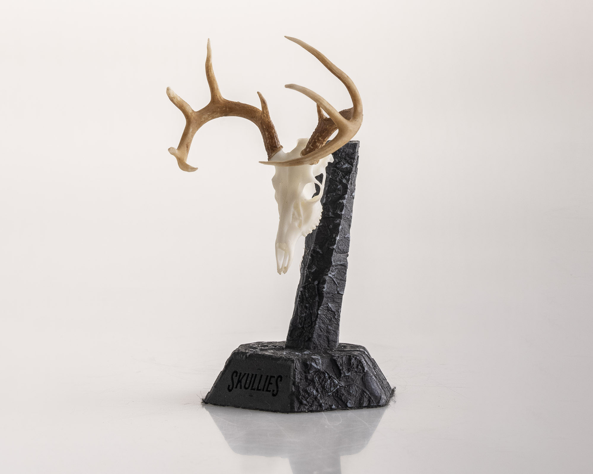 Whitetail Deer Skullie - Image 2
