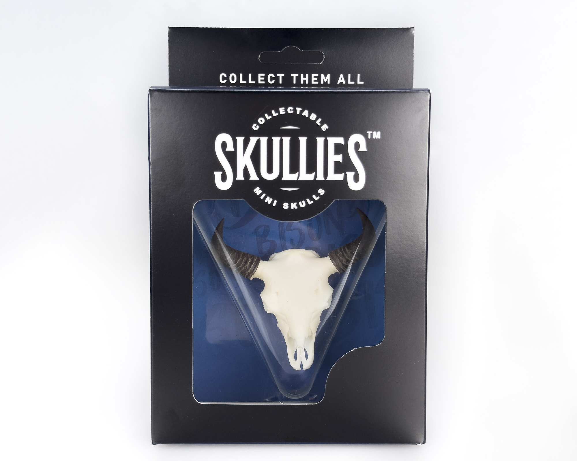 American Bison (Buffalo) Skullie